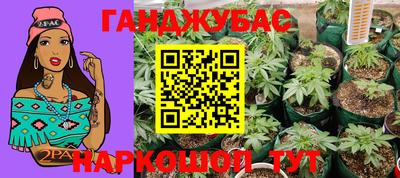 стаф Ставрополь