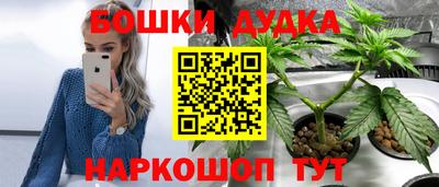 стаф Ставрополь