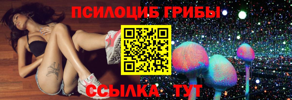 Галлюциногенные грибы мухоморы  Галлюциногенные грибы MAGIC MUSHROOMS  купить наркоту  Вход с VPN  Омск 