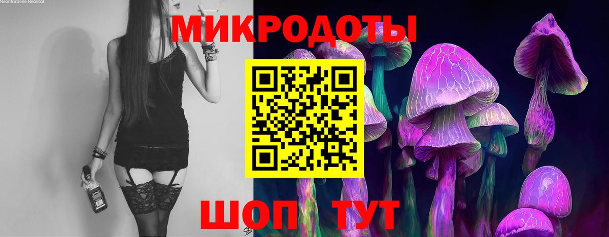 Галлюциногенные грибы Cubensis Омск