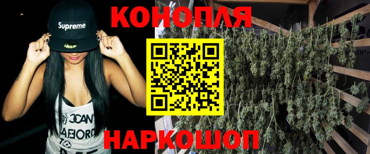 Омск  Бошки Шишки марихуана  Марихуана планчик  Вход с VPN  Бошки Шишки марихуана  Канабис сатива 